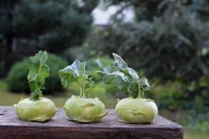 Pommes aus Kohlrabi: Kleiner Trick für Gemüsemuffel