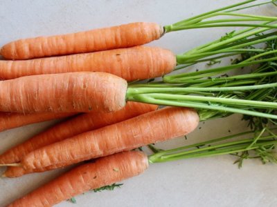 Beikost ab 4. Monat: Karottenbrei (auf Vorrat gekocht)