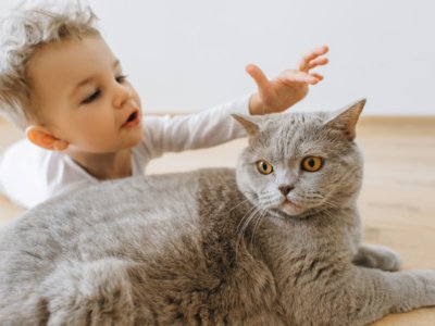 Katze und Baby: Die besten Tipps